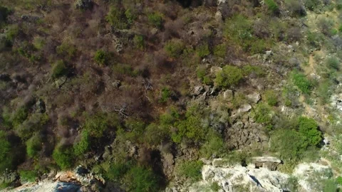 Drone top down bird's eye view above dry... | Stock Video | Pond5