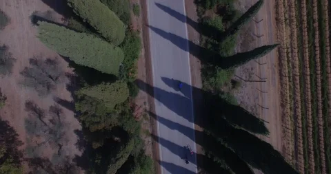 Drone top down cyclists riding bikes through Cypress trees in Tuscan fields in T Stock Footage 104178296