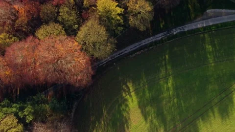 Drone top down flight over fall colours ... | Stock Video | Pond5