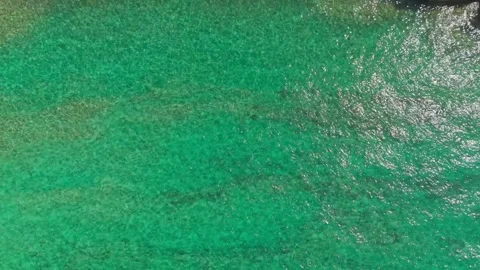 Drone Top-Down Flight Over Emerald Adriatic Waters Revealing Beach in Zadar Vídeo Stock 341660538