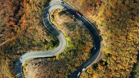 Drone, top down: flying above the cars cruising along a scenic country road full Stock Footage 253264902