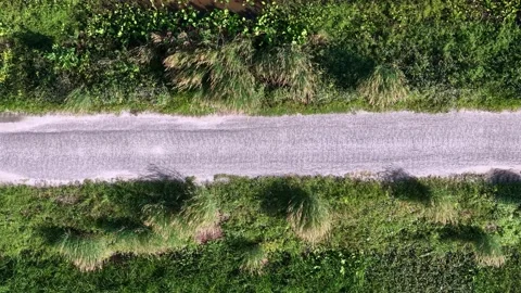 Drone Top Down Paddy Field Path Through Wetlands Video stock 329363581