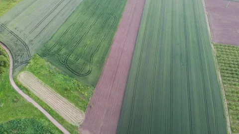 Drone top down rotation shot of abstract green crop fields near Silistra Stock Footage 242520365