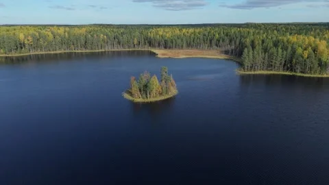 Drone top-down shot slowly orbiting a small forested island in the center of a Видео 327399818