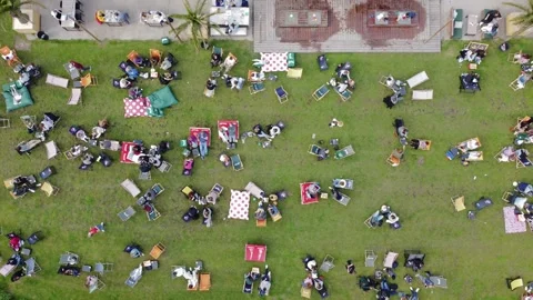 Drone top down view from above of grass field with people sitting in groups Stock Footage 196823498