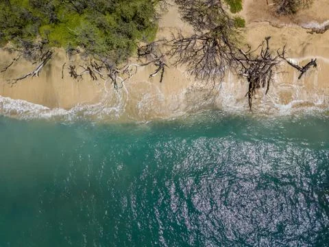 Drone top down view of the crystal clear water in Lahaina, Maui, Hawaii Foto stock