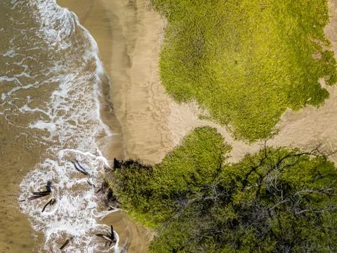 Drone top down view of the crystal clear water in Lahaina, Maui, Hawaii Stock Photos