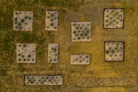 Drone top down view of decorative lavender gardens Stock Photos