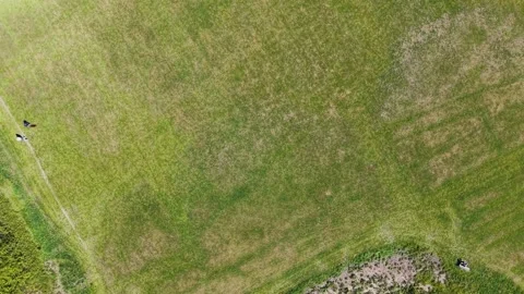 Drone top-down view descending over lush green park with walking paths and trees Stock Footage 309762155
