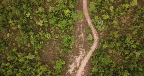 Drone top-down view of a dirt road in the Cerrado biome, Tocantins Stock Footage 317731437
