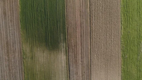 Drone top down view of farm fields in Madrid, Spain Stock Footage 111963768