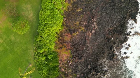 Drone top-down view of green grass and black lava by surf in Hawaii Stock-Footage 347825861