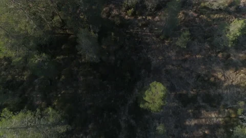 Drone top down view over mire Stock Footage 166086399