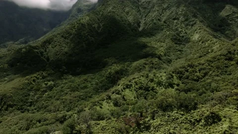 Drone top down view of rainforest valley in West Maui Mountains, Hawaii, USA Stock Footage 178222715