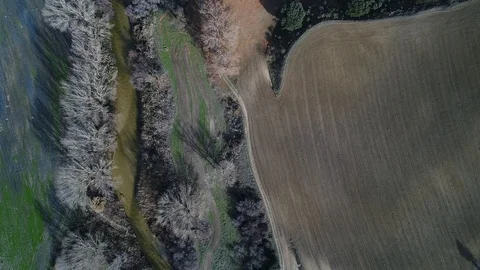 Drone top down view of a river and flourished forest in Madrid, Spain Stock Footage 111963581