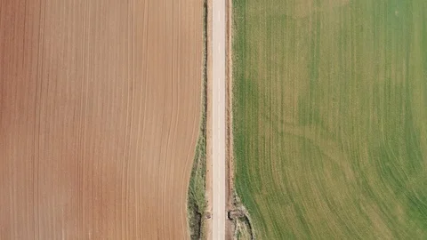 Drone top down view of a road between farm fields in Spain Stock Footage 112242199