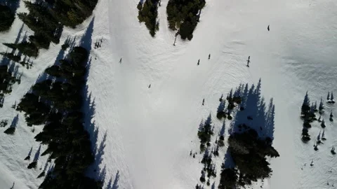 Drone Top-Down View of Skiers and Shadows on Snowy Slope Vidéo 348418024