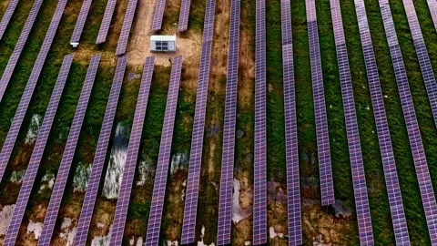 Drone top-down view of a solar farm with long rows of photovoltaic panels over Stock Footage 333319584