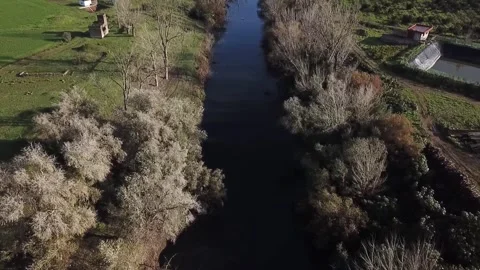 Drone Top-Down View of a Strategic Water Canal and Dense Riverside Trees in Stock Footage 330961004
