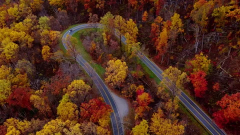 Drone top-down view of a winding mountain road surrounded by vibrant autumn 스톡 동영상 321446852