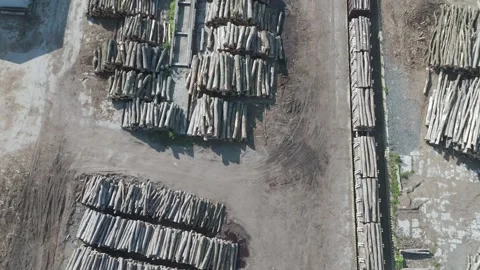 Drone top down view of wood industry with wood storage an loading logs on trains Stock Footage 312070023