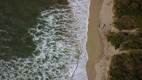 Drone top down white sand beach person walking beach access Stock Footage 90971334