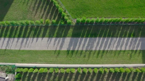 Drone top shot on a romantic path between the green lawn and the boxwood alley. Stock Footage 138894458