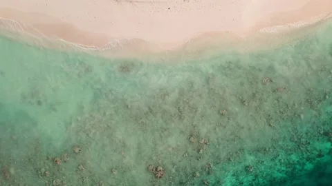 Drone top view of beach in Maldives, clear water and coastline 스톡 동영상 201445684