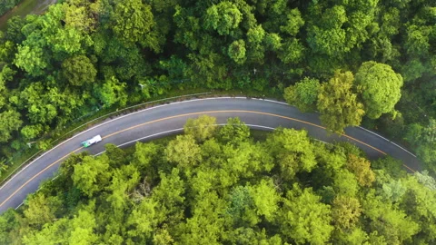 Drone top view of car pass-through the jungle curve road Stock-Footage 143807444