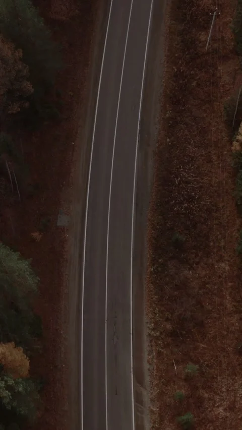 Drone top view of empty winding highway in autumn forest, Ural Mountains Russia Stock Footage 346558994