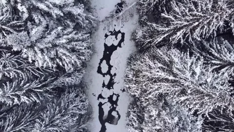 Drone top view of a frozen river flowing through a snowy winter forest Stock Footage 333484522