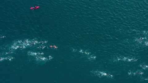 Drone top view group of swimmers in blue sea Stock Footage 223024204