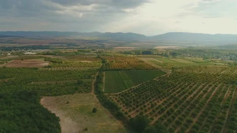 Drone top view Hankrumovski Rock-monastery (Shumen plateau, Bulgaria) Видео 167723662
