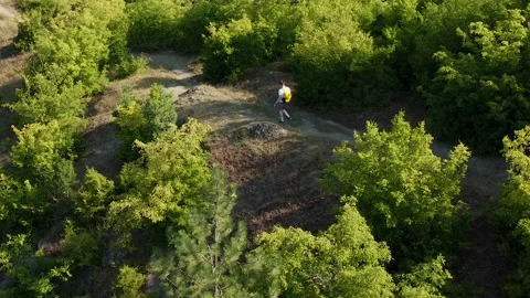Drone top view of hiker walking down the hill path through the sunny forest Video stock 229879452