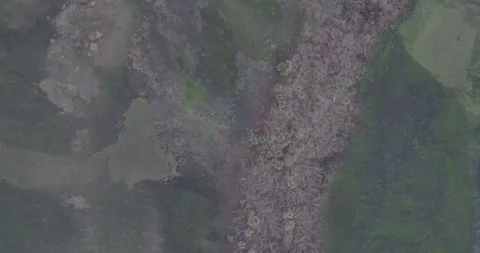 Drone top view in the middle of brazil national park Stock Footage 139950945