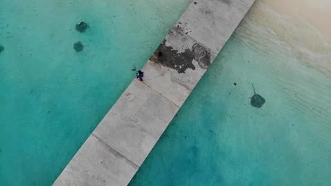 Drone top view over a group of stingrays in shallow sea.Fulidhoo Island,Maldives Stock Photos