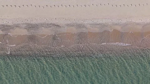 Drone top view of shoreline waves forming textured coastal water patterns Stock Footage 321966605