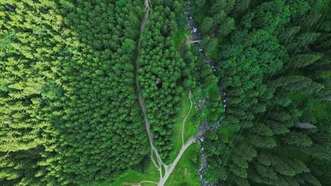 Drone top view of small red house in green forest near mountain stream Video stock 318619366