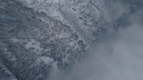 Drone top view of snowy forest and clouds in mountains Stock-Footage 103474953