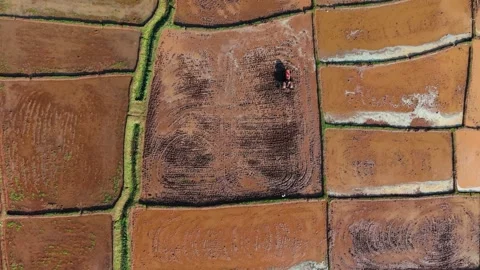 Drone Top View of Tractor Preparing Agricultural Land for Cultivation Across Video stock 341311232