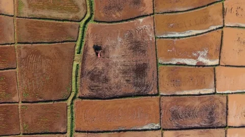 Drone Top View of Tractor Preparing Agricultural Land for Cultivation Across Stock Footage 341311283