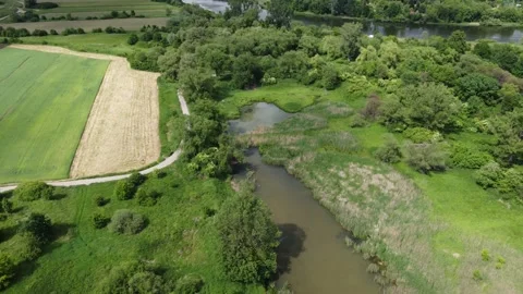 Drone top view of the Vistula oxbow lake during spring in Poland Stock Footage 236560975