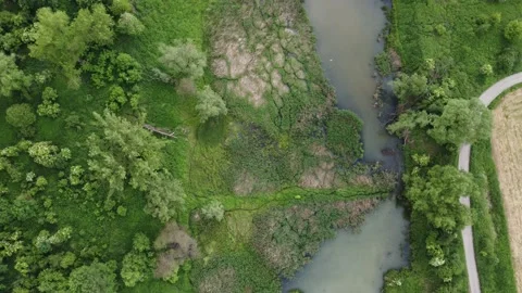 Drone top view of the Vistula oxbow lake during spring in Poland. Stock Footage 236561240