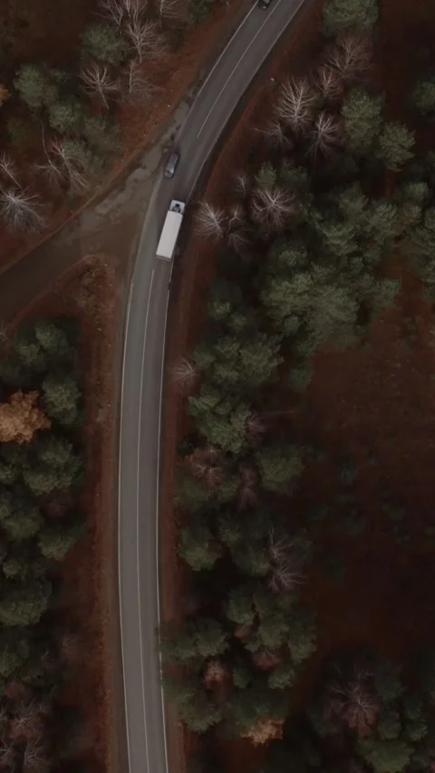 Drone top view of winding rural highway in autumn forest, Ural region Russia Stock Footage 346559003