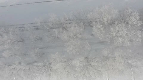 Drone topdown view of snowy fields in Spain after Filomena Storm (4K) Stock Footage 155000730