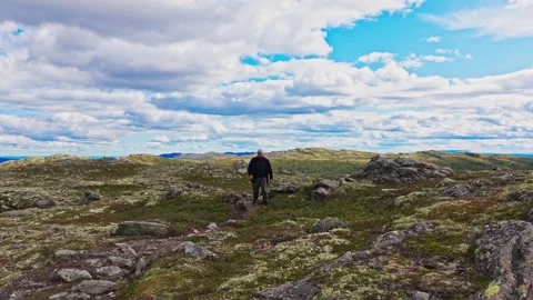 Drone Track Back: Hiker on Tundra Path under Dramatic Sky Stock Footage 318811103
