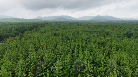 Drone-track-right-teak-forest-mountain-landscape-monsoon-clouds-aerial-4k.mp Stock Footage 340320761