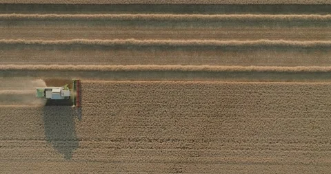 Drone Tracking Combine Harvester Creating Symmetrical Harvest Rows with Dust Stock Footage 340422686