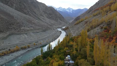 Drone tracking a crystal-clear river under a canopy of autumn trees Stock Footage 310661970