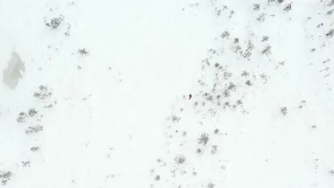 Drone tracking a man in an orange jacket walking in snow Stock Footage 139342883